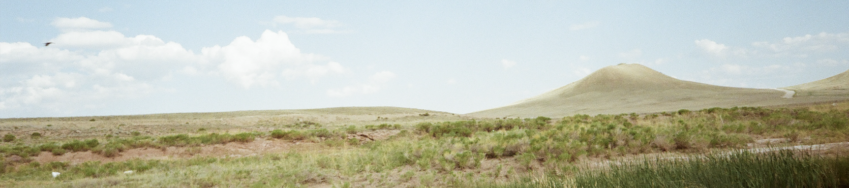 Album background